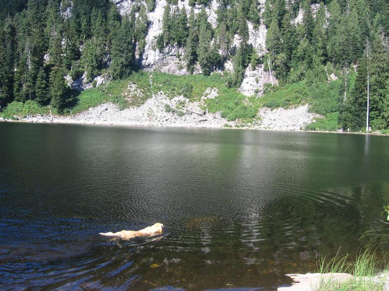 Munro and Lakes ClubTread Community