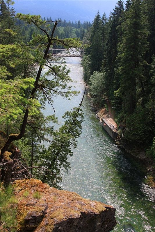 Chehalis River Trail. ClubTread Community