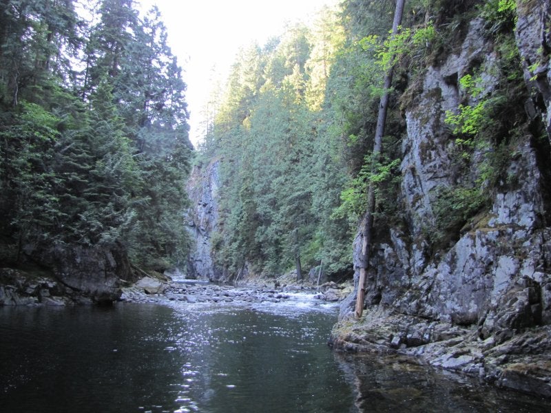 Capilano River hike & swim Aug 28/10 ClubTread Community