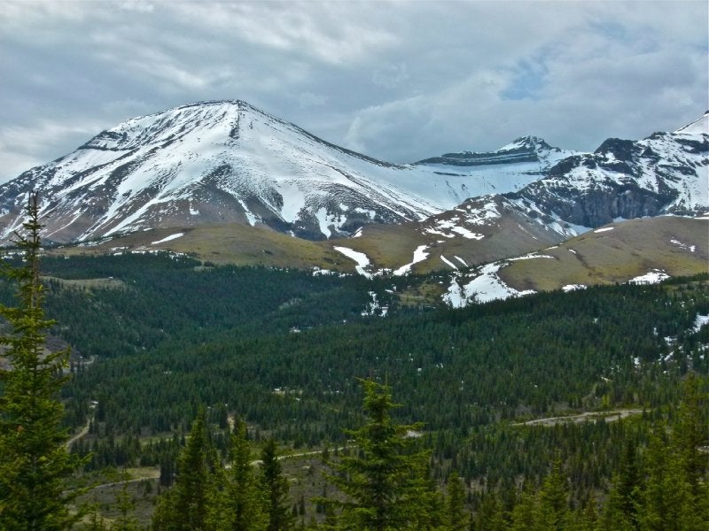Prospect Meadows, Cadomin, Alberta ClubTread Community