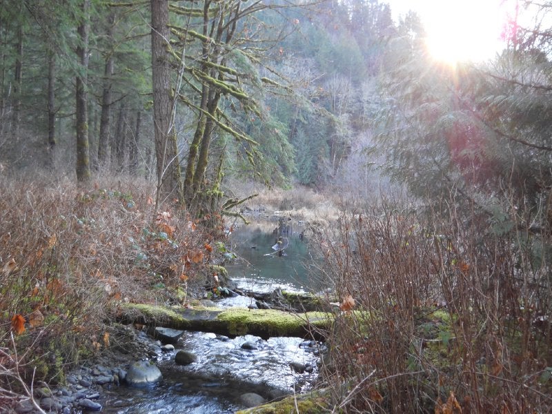 Thurston Meadows TCT ClubTread Community