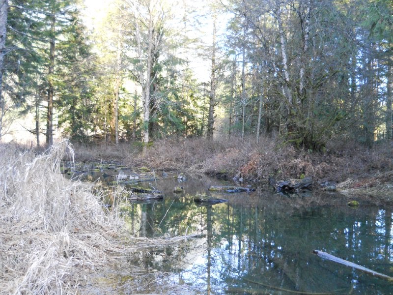 Thurston Meadows TCT ClubTread Community