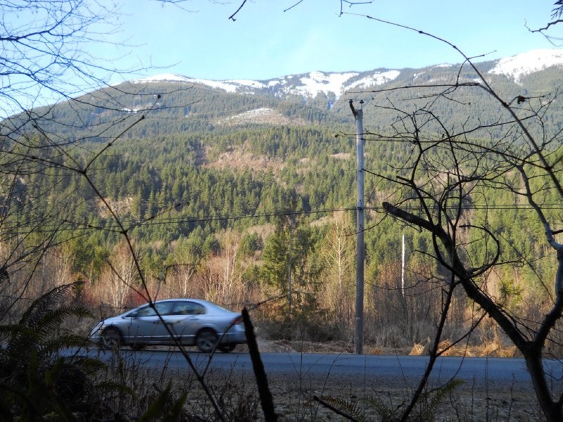 Thurston Meadows TCT ClubTread Community