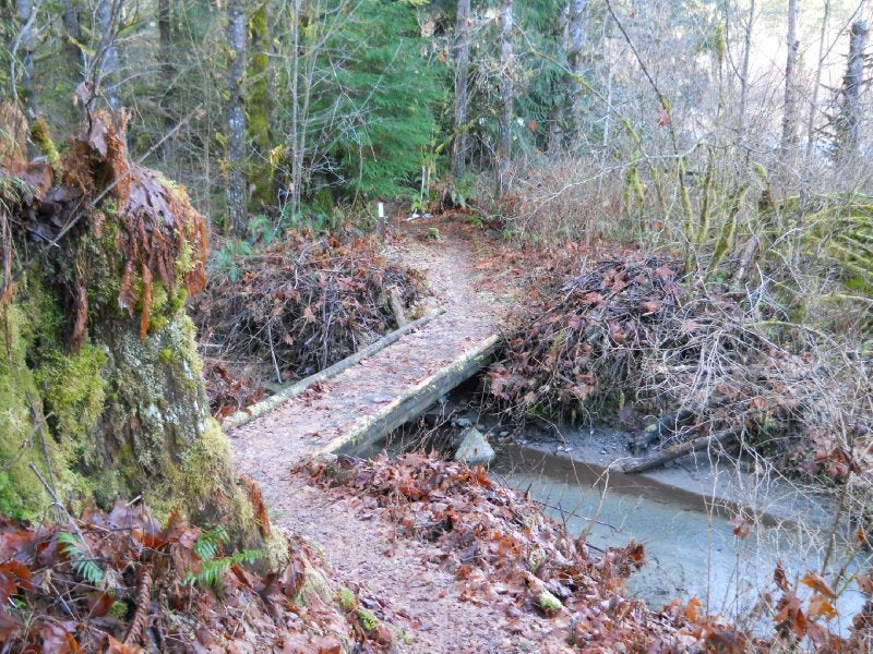 Thurston Meadows TCT ClubTread Community