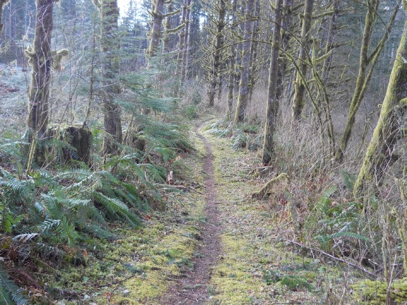 Thurston Meadows TCT ClubTread Community