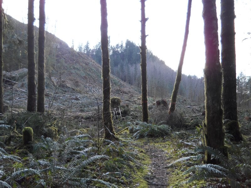 Thurston Meadows TCT ClubTread Community