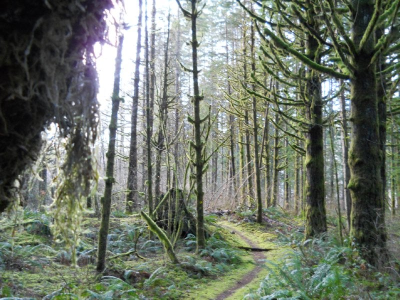 Thurston Meadows TCT ClubTread Community