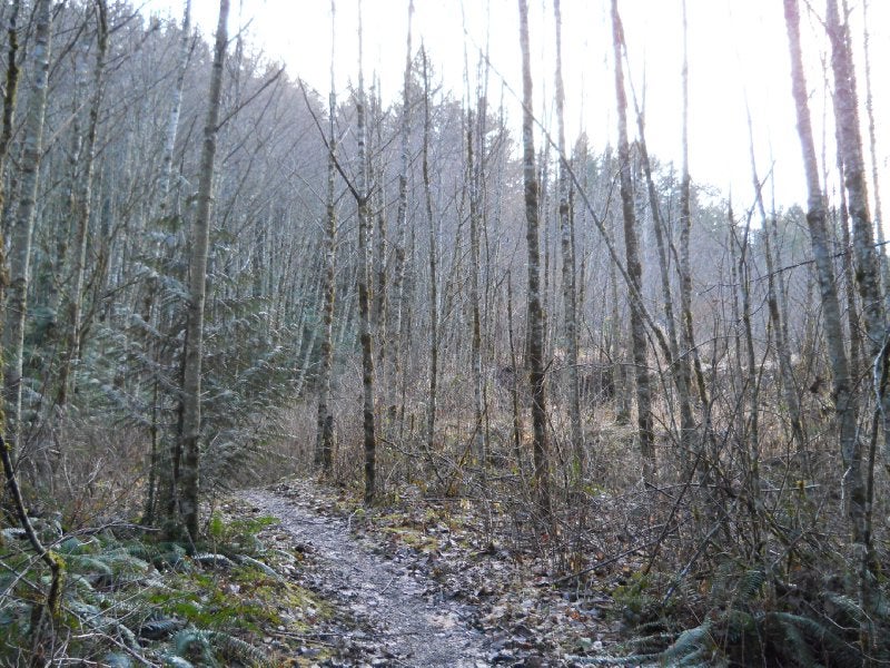 Thurston Meadows TCT ClubTread Community