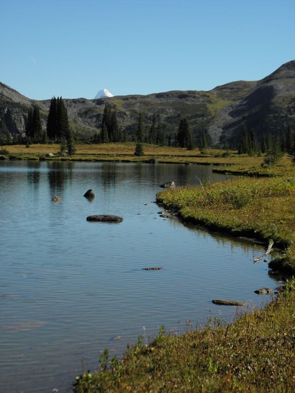 Blueberry Lake near McBride ClubTread Community