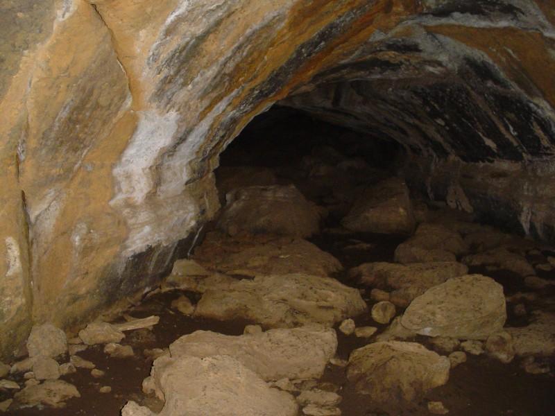 Mammoth Cave/Utah ClubTread Community